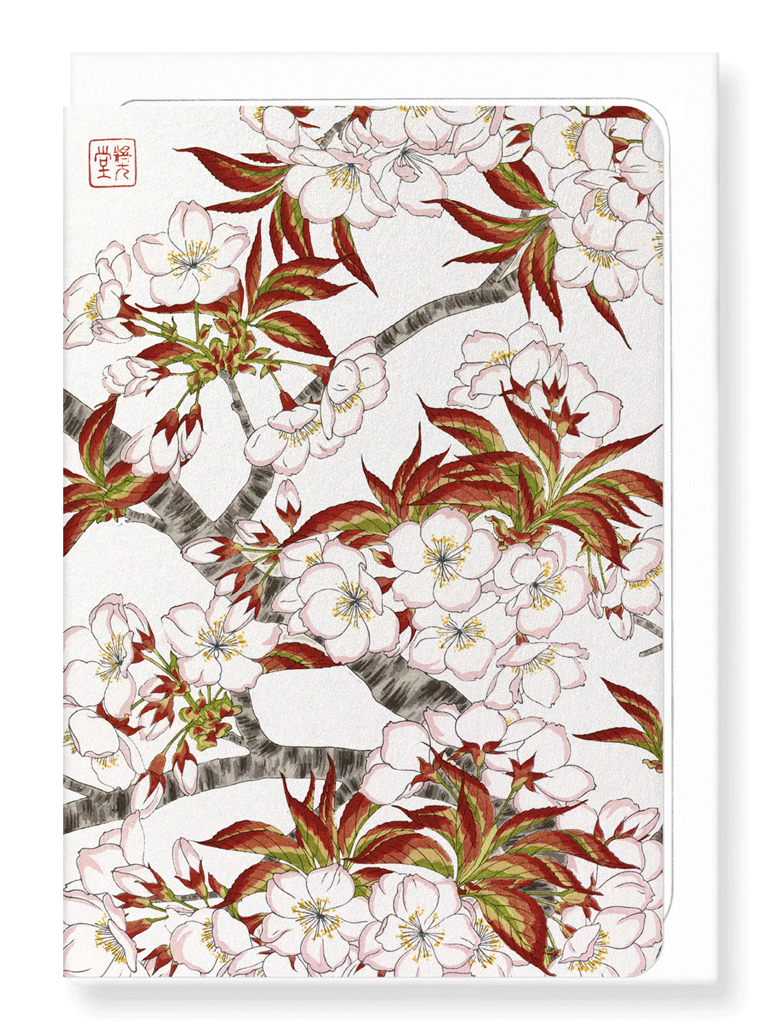 Cherry Blossom Flowers Greeting Card